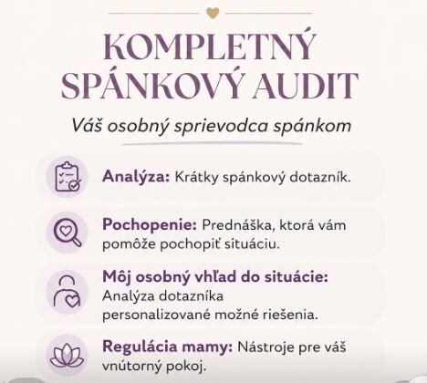 spankovy audit